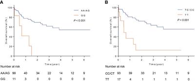 FOXO3 polymorphisms influence the risk and prognosis of rhabdomyosarcoma in children